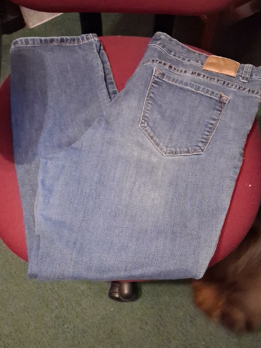 Anne Klein Light Blue Denim Jeans with Brass Button 16P